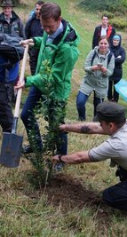 Sachsens Ministerpräsident Michael Kretschmer pflanzte im Arboretum eine Stechpalme.