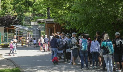 Am Eingang bildete sich am Feiertag daher eine lange Schlange.