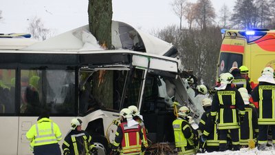 Dieser Bus rammte am Mittwoch einen Baum, der sich tief ins das Fahrzeug bohrte.