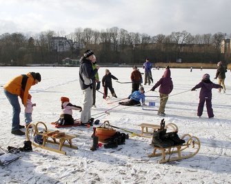 Eisläufer auf dem Schloßteich