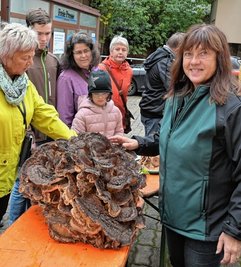 Pilzberaterin Angelika Tauscher aus Neuwürschnitz (r.) brachte unter anderem einen Riesenporling zum Bauernmarkt mit.