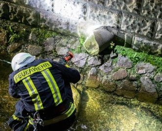 Kameraden mussten in den Bach steigen, um die Katze zu befreien.