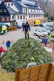 Das gestapelte Buchenholz wurde anschließend mit Erde und Reisig abgedeckt. 