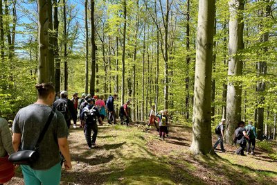 Hunderte Spaziergänger schlossen sich am Sonntag der Premiere des Spaziergangs in Schwarzenberg an.
