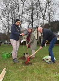 Ulrike Malek (links) und Roland Küblböck pflanzten mit Ulrike Kahl am Radweg in Pöhla ein Wildapfelbäumchen. 