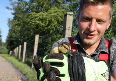 Sebastian Schmidt holte die Küken behutsam aus dem Schacht. 