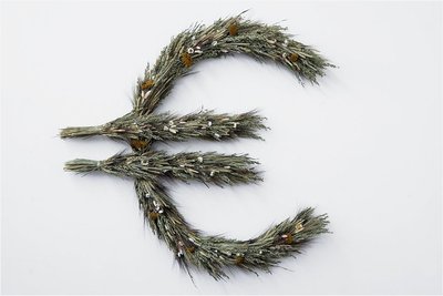 Wer feiert fette Ernte? "€" von Anna Steinherz. 