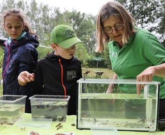 Marion Gringer (rechts) von der Weiditzer Naturschutzstation erklärte den Jungen Naturwächterinnen und Naturwächtern, welche Tiere im Teich leben. Die Kinder hatten sie zuvor aus dem Teich gekeschert. 