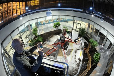 Landschaftsarchitekt Volker von Gagern beim Blick ins neu gestaltete Tropenhaus der Stadthalle. Im äußeren Bereich des markanten Glasbaus wurden 45 Tonnen Spezialerde eingearbeitet. Bis Montag soll alles fertig sein. Dann werden die ersten Besucher erwartet.