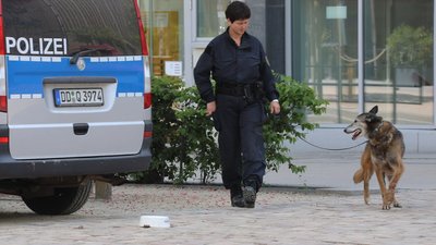 Spürhunde waren vor Ort.