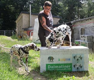 Tierheimchefin Jana Berger steht mit den beiden Dalmatiner an gleichnamigen Dämmelementen. Die vordere Fassade des Hauptgebäudes wurde bereits gedämmt. 