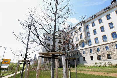 Die Plauener Studienakademie hat jetzt eine ihrer Studienrichtungen umbenannt. 