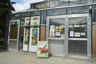 Im Botanischen Garten in Chemnitz fanden seit 1999 regelmäßig Schmetterlingsausstellungen statt. Die Corona-Pandemie verhinderte 2020 die Fortsetzung.