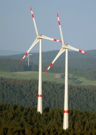 Windräder im Wald, das soll es im Landkreis Zwickau nicht geben. 