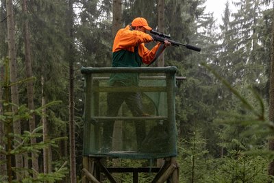 Im Fichtelberggebiet finden derzeit Drückjagden statt. Damit soll der Wildtierbestand reguliert werden.