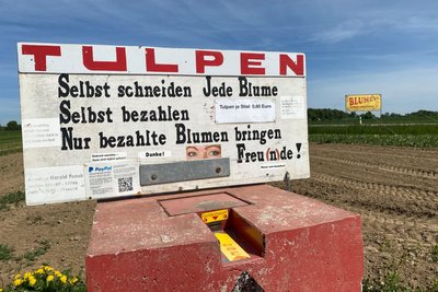 Pflücken und sich verdrücken: Das ist die Devise mancher unehrlicher Blumenpflücker. Die Kasse des Vertrauens ist oft nur eine Empfehlung.