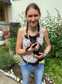 Mitarbeiterin Leonie Humpisch mit Mogli, einem der 26 Katzenbabys. Die 19-Jährige ist seit Anfang August stellvertretende Katzenverantwortliche im Tierheim "Waldfrieden"