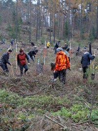 40 Mitarbeiter der Leipziger Firma Next-Bike helfen, die Fläche mit 5000 Eichen aufzuforsten.