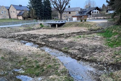 Der Teich in Treuens Ortsteil Eich ist seit Jahren leer. Nun soll sich das ändern.
