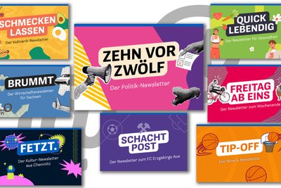 Die acht Newsletter der „Freien Presse“.
