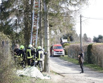 Im zweiten Anlauf konnte die Feuerwehr das Tier dann von dem Baum holen.