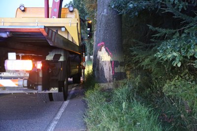 Die Fahrerin kollidierte mit einem Baum. 