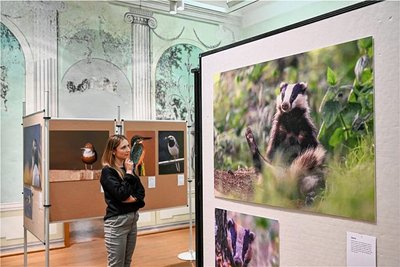 Die Motive hängen, die Ausstellung in der 1. Etage des Wasserschlosses Klaffenbach kann Karfreitag eröffnet werden. Mitarbeiterin Nathalie Günther schaut sich vorab die etwa 40 Aufnahmen an. 