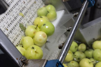 Bei den Mostereien und mobilen Saftpressen in Mittelsachsen lassen sich nur mit Glück noch Termine ergattern.