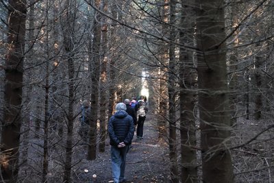 Eine reiner Fichtenwald, wie er typisch fürs Erzgebirge ist, sei nicht gut für das Ökosystem.
