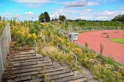 Die Nordkurve im einstigen Thälmann-Stadion ist von Unkraut und mittlerweile auch Bäumen überwuchert. 