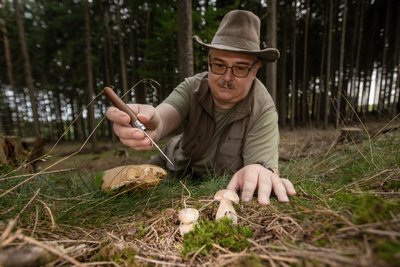 Steffen Schmidt hat Steinpilze gefunden. Wegen seines milden Geschmackes eignet sich der Steinpilz für Nudelgerichte oder auf das Steak.