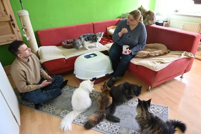 Der Reporter der „Freien Presse“ zwischen den Katzen von Bianca Rubbey.
