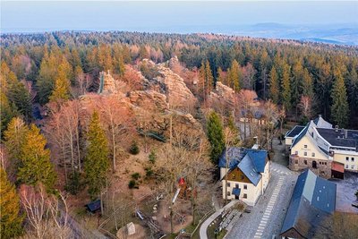 Wie lange Olg(a)erich bereits im Greifensteinwald wohnte, vielleicht sogar überwinterte und wie die Schildkröte dorthin kam, bleibt ein Rätsel.