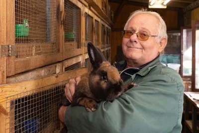 Er hat gut lachen: Kaninchenzüchter Rolf Meier aus Ehrenfriedersdorf. Mit seinen Kaninchen der Rasse Thüringer war er in der zu Ende gehenden Ausstellungssaison der erzgebirgischen Kleintierzüchter wieder überaus erfolgreich.