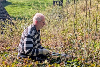Reiner Hengst hilft beim Frühjahrsputz an der Burgruine Frauenstein.
