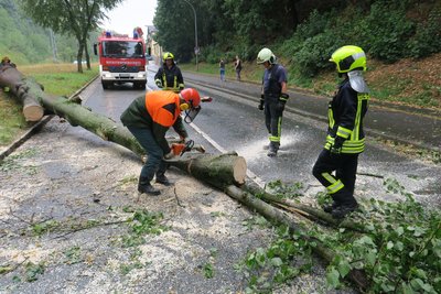 Die B 169 in Schneeberg musste für kurze Zeit gesperrt werden, nachdem ein Baum auf die Straße stürzte.