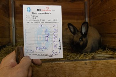 Und so sieht die Bewertungskarte eines Champions aus: nahezu überall die höchstmögliche Punktzahl, Gesamtbewertung „Vorzüglich“ und keinerlei Kritikpunkte.