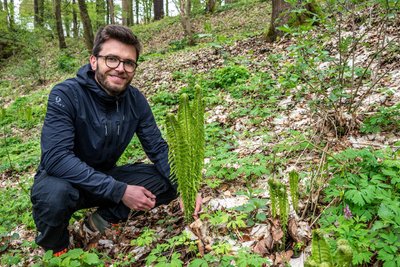 Max Krombholz an einem Straußenfarn, der nun wieder mehr Platz bekommen soll.