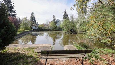 Sieht idyllisch aus, ist aber sanierungsbedürftig: der Feuerlöschteich an der Unteren Hauptstraße in Mühlau. 