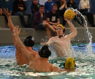 Justus Schneider (am Ball), der hier im Heimspiel gegen Hildesheim zu sehen ist, hat am Wochenende neun Tore für Zwickau erzielt. 