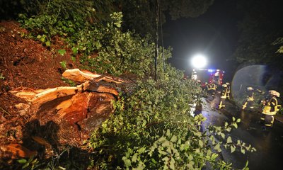 Durch ein heftiges Gewitter ist in Oberlungwitz ein Ast auf eine Stromleitung gefallen.
