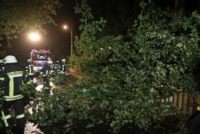 Durch ein heftiges Gewitter ist in Oberlungwitz ein Ast auf eine Stromleitung gefallen.