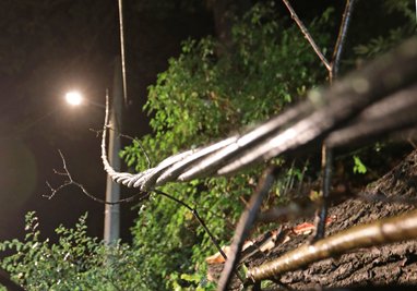 Durch ein heftiges Gewitter ist in Oberlungwitz ein Ast auf eine Stromleitung gefallen.