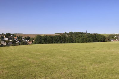 Blick auf das abgemähte Feld.