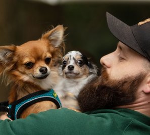 Tierheim-Mitarbeiter Chris Wolfrum kümmerte sich intensiv um die Chihuahuas. Nun steht fest, die Hunde kehren nicht zu den ehemaligen Eigentümern zurück und dürfen vermittelt werden. 
