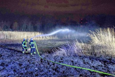 Dort brannte das Schilf. Schnelles Eingreifen der Kameraden verhinderte Schlimmeres. 