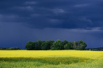 Erst am Freitag sind keine Gewitter mehr angesagt. (Symbolbild)