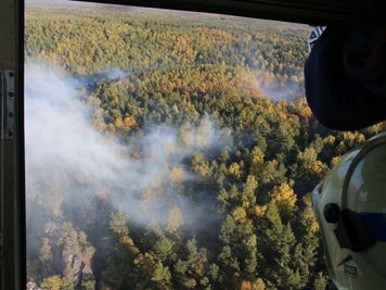 Feuerwehrleute aus Tschechien und Deutschland bekämpften den Waldbrand in der Sächsisch-Böhmischen Schweiz.