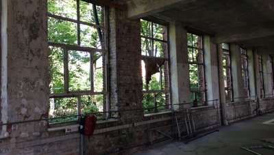 Seltene Blicke werden den Besuchern der 13. Begehungen im Poelzig-Bau geboten. Innen wird Kunst zu sehen sein, vor den Fenstern Natur.