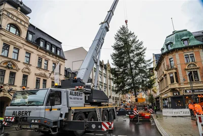 Ein Kran richtet den Baum am Altmarkt auf.